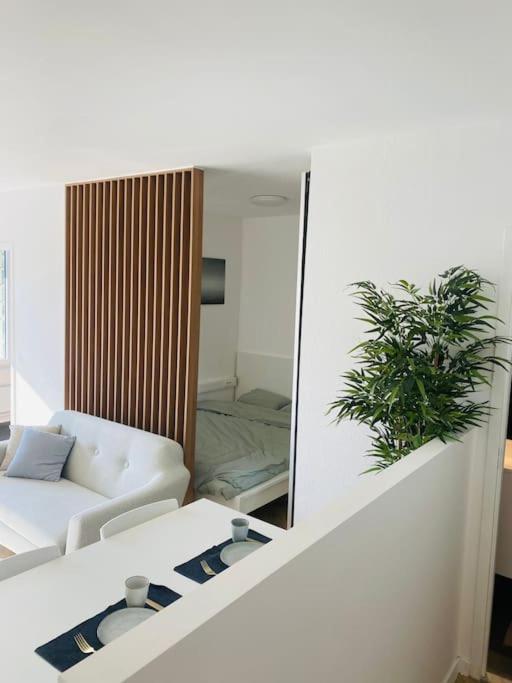 Cozy Studio +